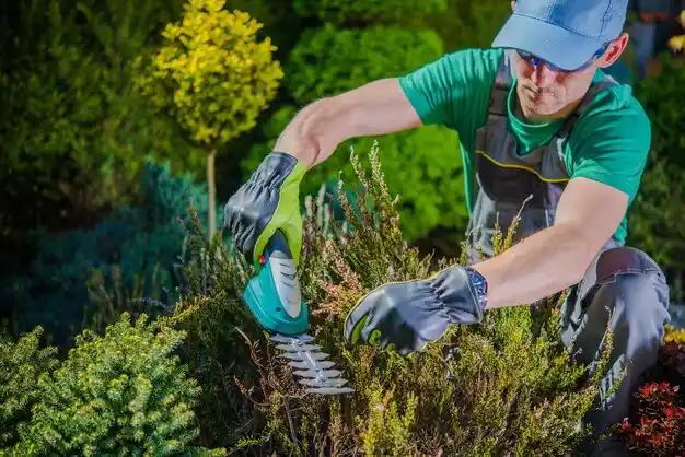 landscaping services Sciotodale